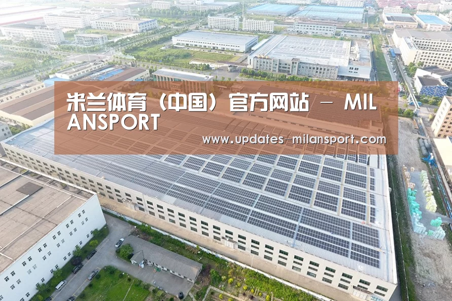案例展示二