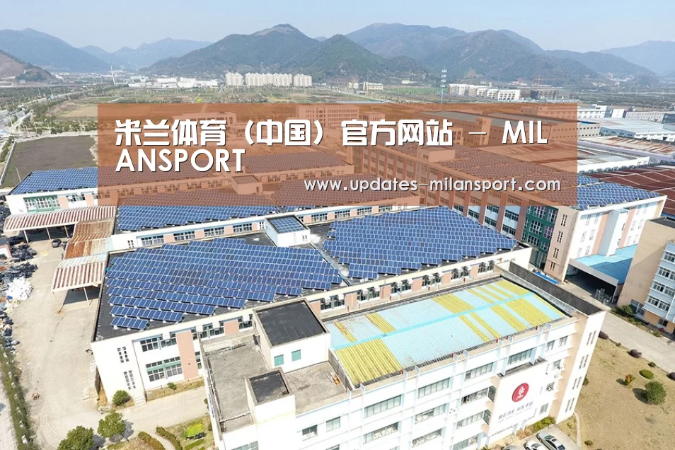案例展示二