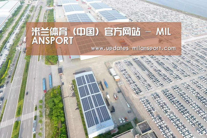 案例展示四