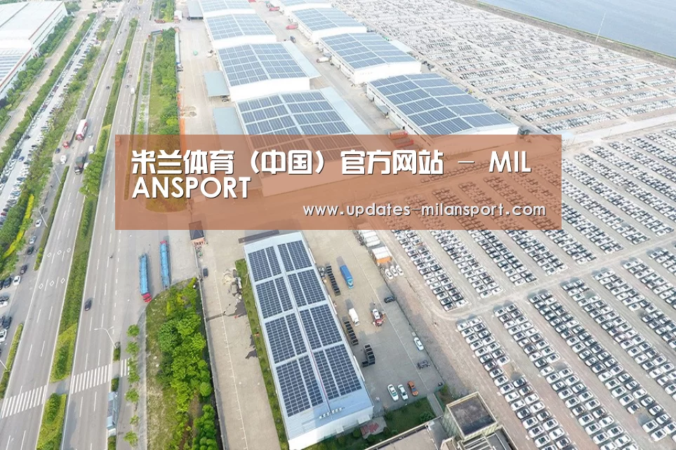 案例展示二