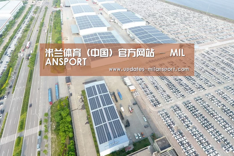 案例展示三