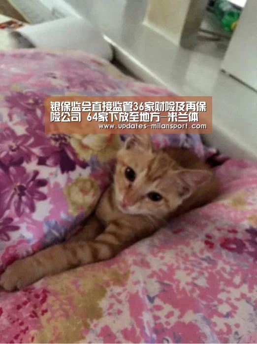 银保监会直接监管36家财险及再保险公司 64家下放至地方-米兰体育全站app(图2) 米兰体育全站