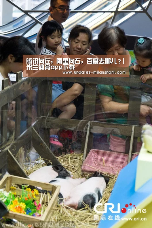 米兰体育app网址