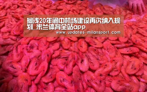 搁浅20年阆中机场建设再次纳入规划_米兰体育全站app(图1) 米兰体育app官网