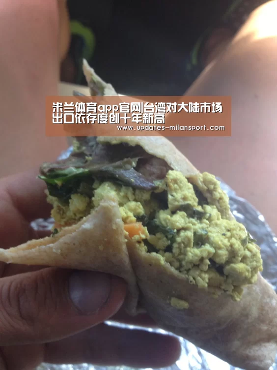 米兰体育app官网|台湾对大陆市场出口依存度创十年新高(图1) 米兰体育app下载