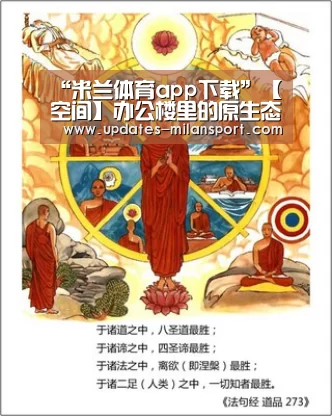 米兰体育全站下载